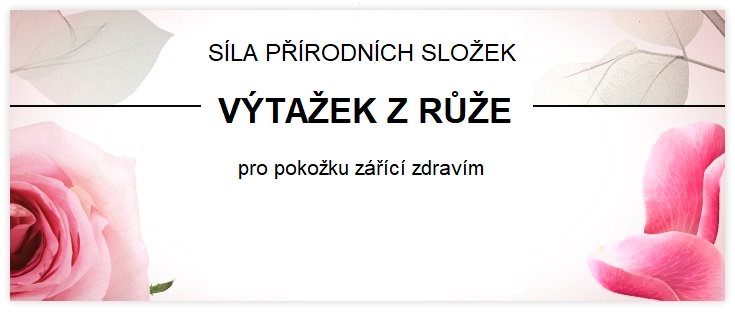 Růže